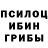 Псилоцибиновые грибы Psilocybe MARTIN MATO