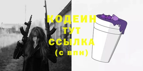 индика Балабаново